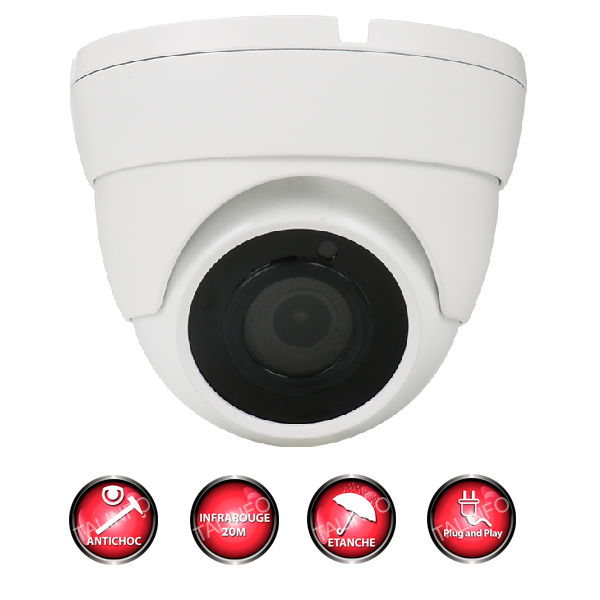 caméra vidéo surveillance professionnel Dome IR SONY FULL HD 1080p Enregistreur DVR AHD disque dur Pack video