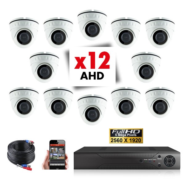 Kit vidéosurveillance 12 caméras PRO FULL AHD SONY 5MP