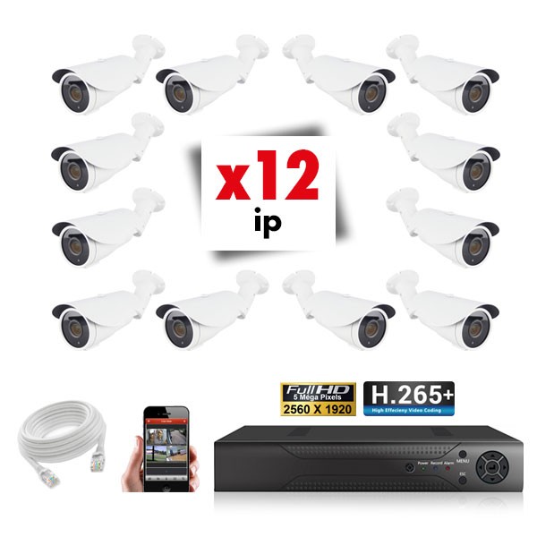 Kit vidéosurveillance 12 caméras tubes varifocales IP POE PRO FULL HD H265 5MP