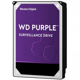 Western Digital Purple ou Seagate Skyhawk disque dur videosurveillance